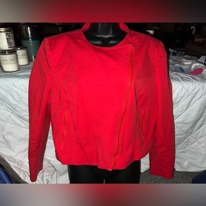 Rachel Zoe Collarless Moto Jacket